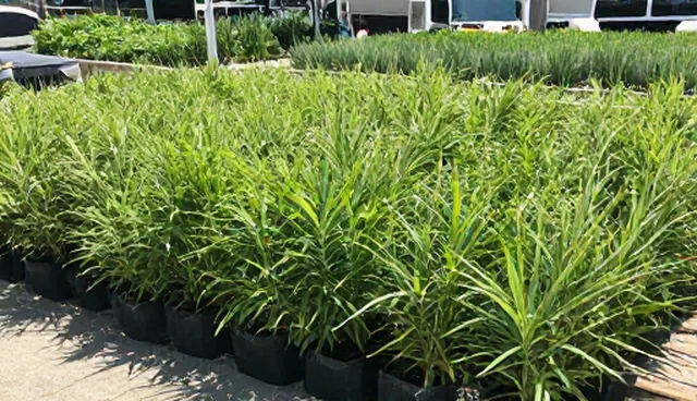 从业者行为规范:交流活动中的关键环节解析